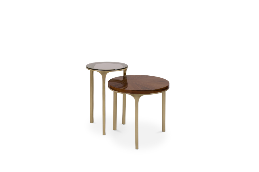Luray Modern Brass Side Table with Glossy Wood and Bronze Glass Tabletop - Home'Society