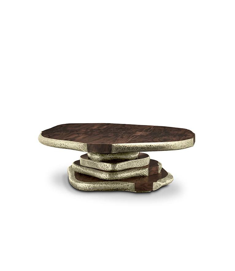 Latza Coffee Table - Walnut Root Veneer with Hammered Brass Details - Home'Society
