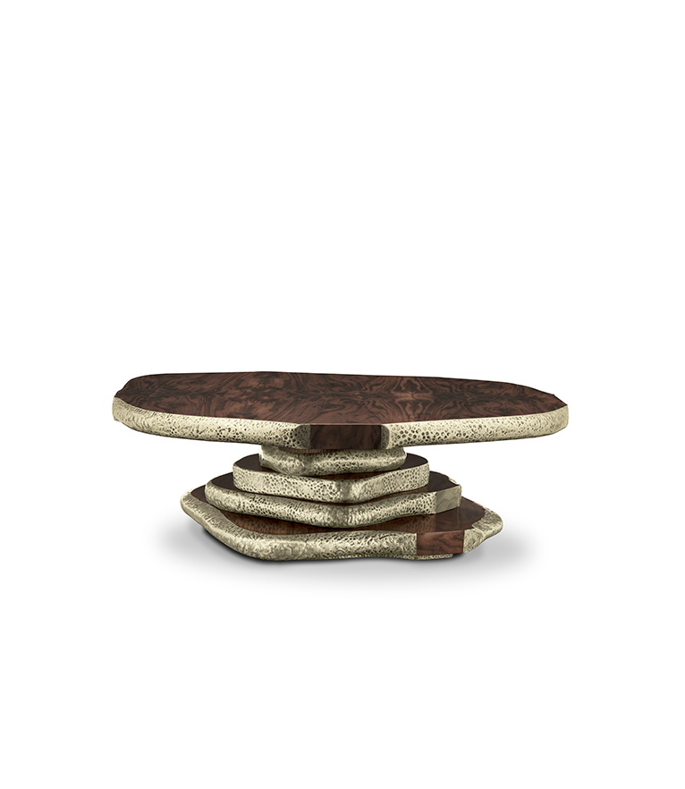 Latza Coffee Table - Walnut Root Veneer with Hammered Brass Details - Home'Society