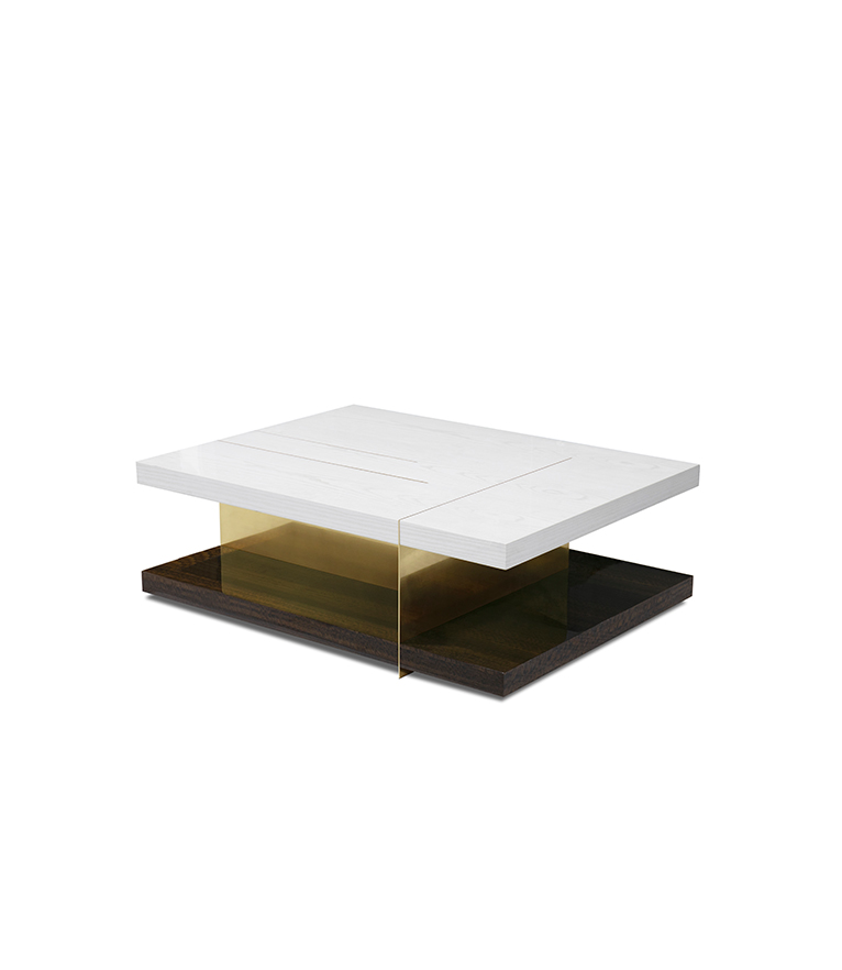 Lallan Coffee Table - with Black Lacquer and Brass Details - Home'Society