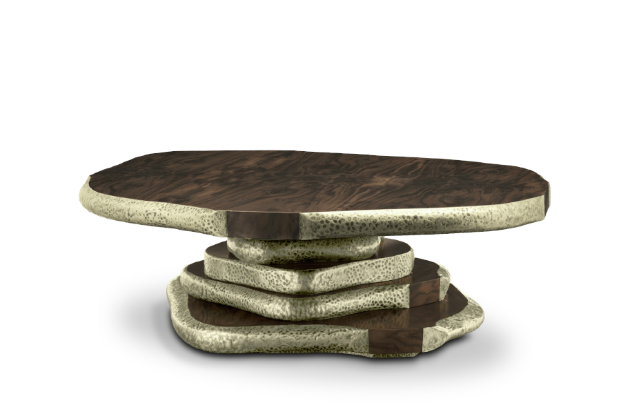 Latza Walnut Root Veneer Coffee Table with Hammered Brass Details