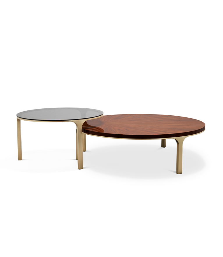 Luray Coffee Table - Modern In Brushed Brass - Home'Society