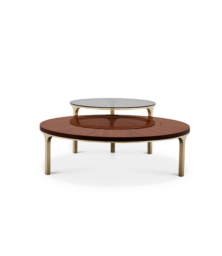 Luray Coffee Table - Modern In Brushed Brass - Home'Society