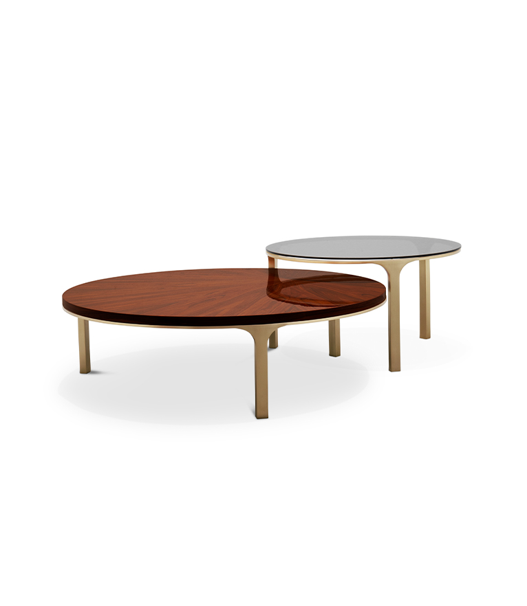 Luray Coffee Table - Modern In Brushed Brass - Home'Society