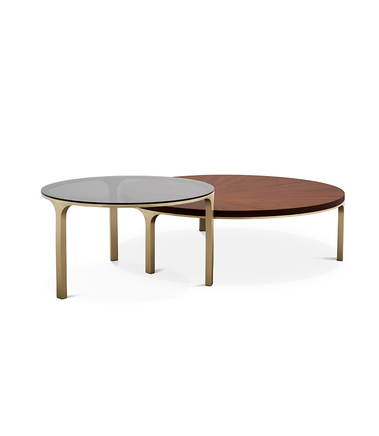 Luray Coffee Table - Modern In Brushed Brass - Home'Society